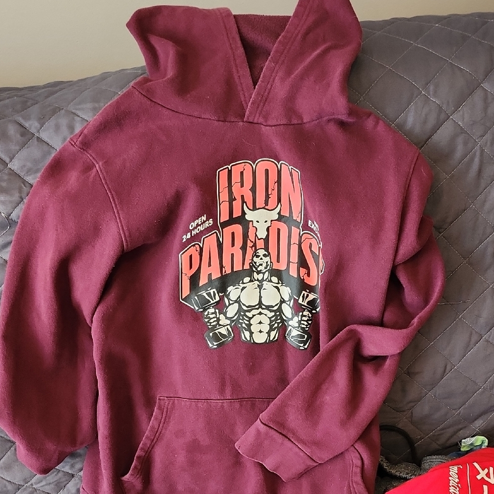 5 For $15 Boys Under Armour Burgundy Graphic Hoodie